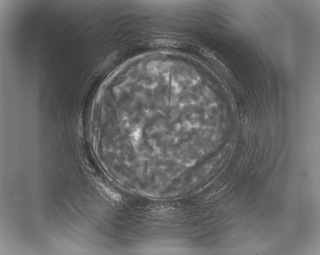 X0000072520729200608111719