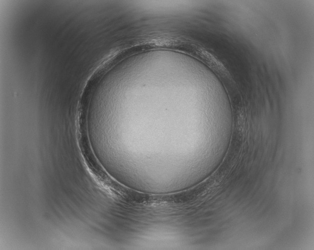 X0000072520730200608111719