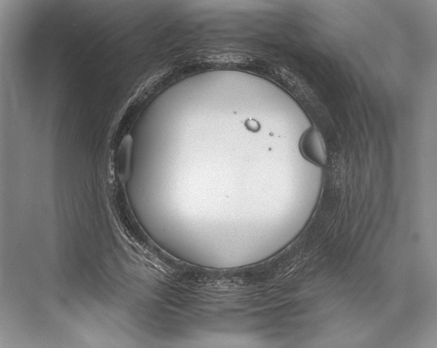 X0000072520731200608111719