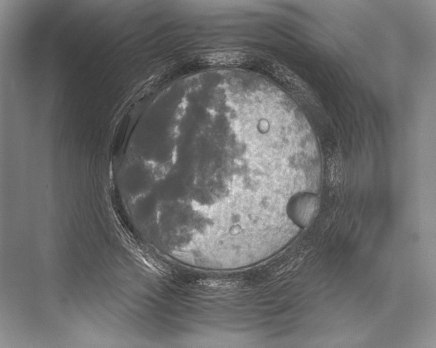 X0000072520733200608111719