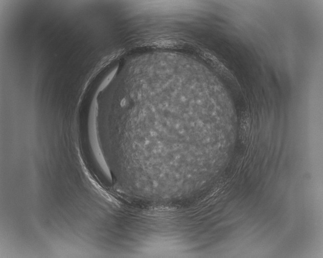 X0000072520734200608111719