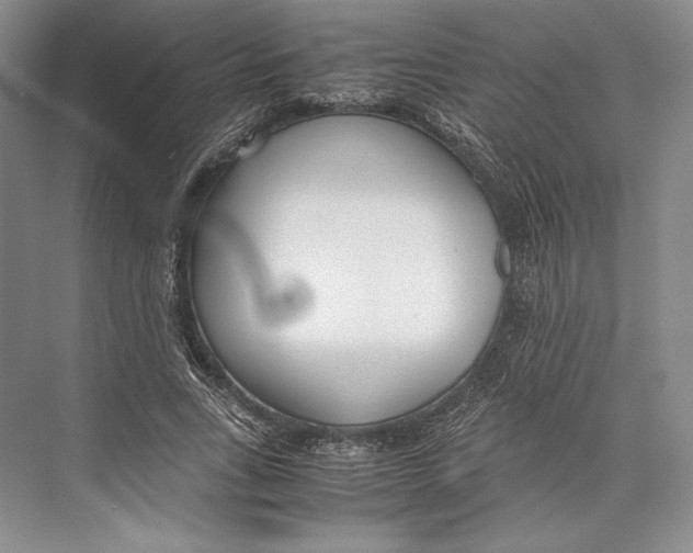 X0000072520735200608111719