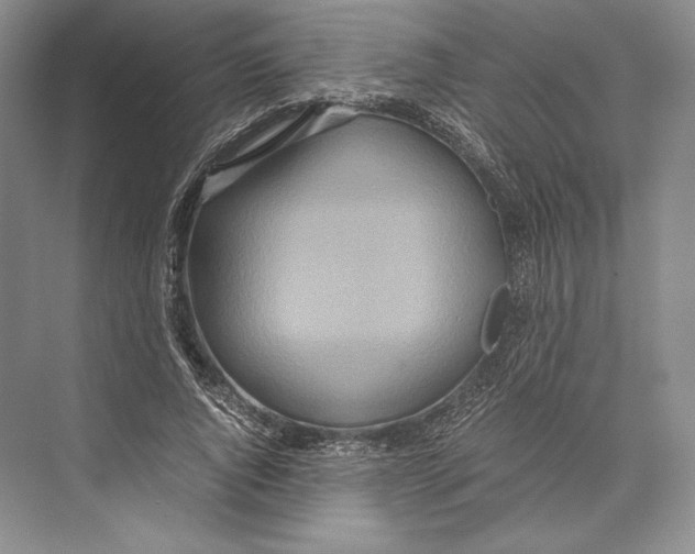 X0000072520736200608111719