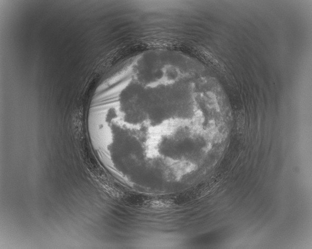 X0000072520737200608111719