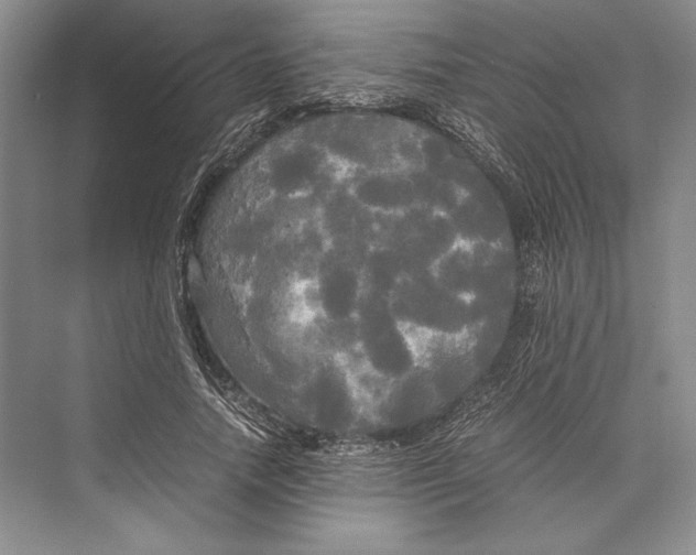 X0000072520738200608111719