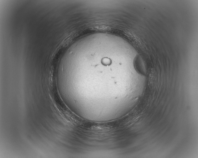 X0000072520739200608111719