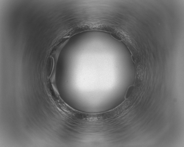 X0000072520740200608111719