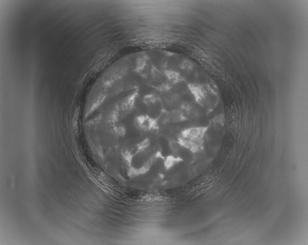 X0000072520742200608111719