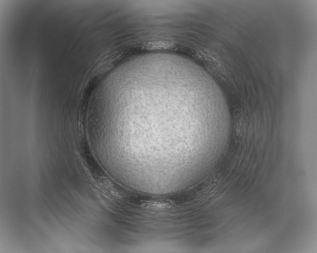 X0000072520743200608111720