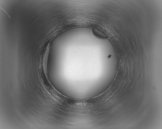 X0000072520744200608111720