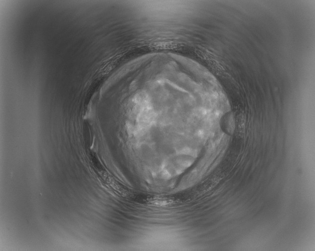 X0000072520746200608111720