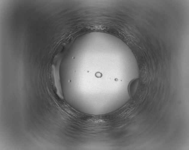 X0000072520747200608111720