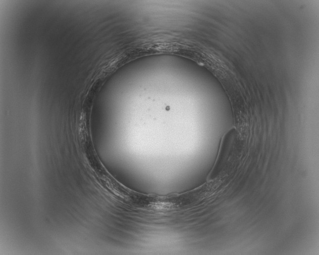 X0000072520748200608111720