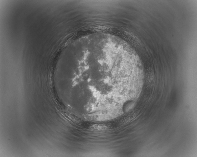 X0000072520749200608111720