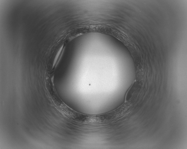 X0000072520750200608111720