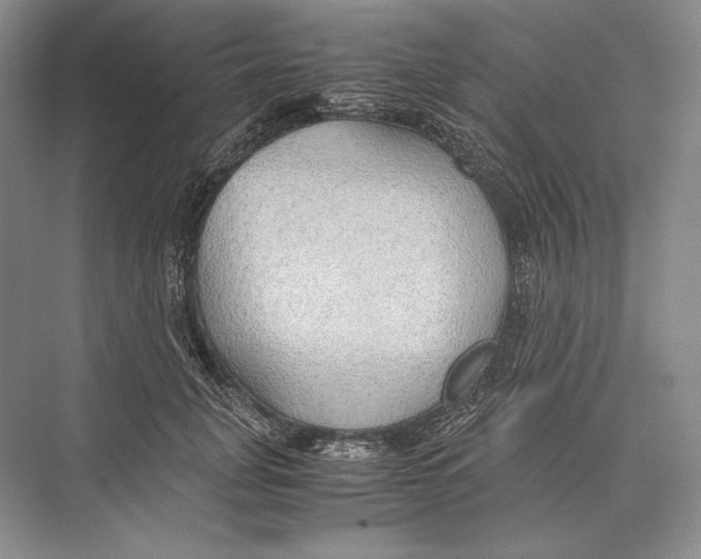 X0000072520751200608111720