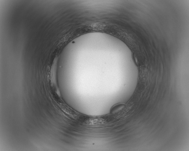 X0000072520752200608111720