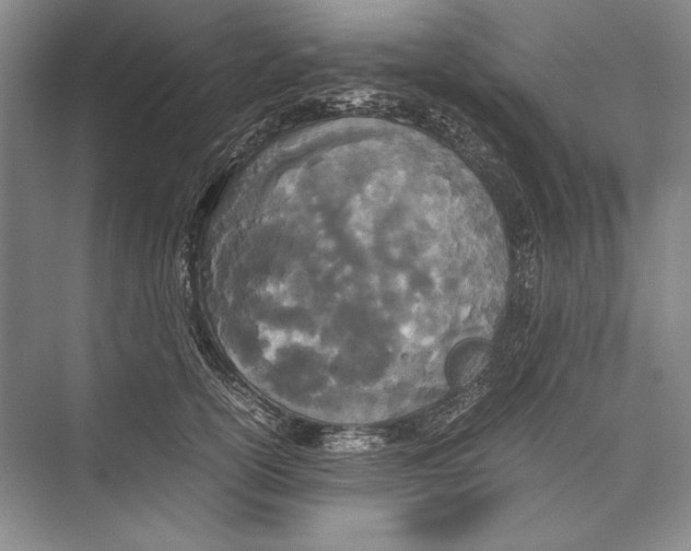 X0000072520754200608111720