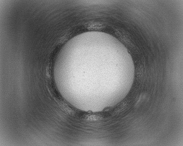 X0000072520755200608111720