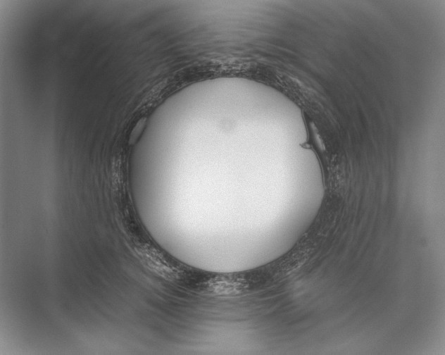 X0000072520756200608111720