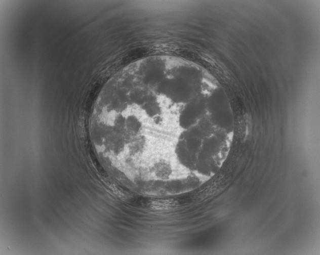 X0000072520757200608111720