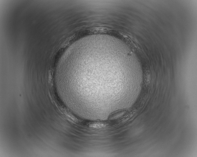 X0000072520759200608111720