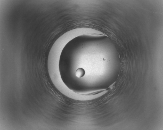 X0000072520762200608111720