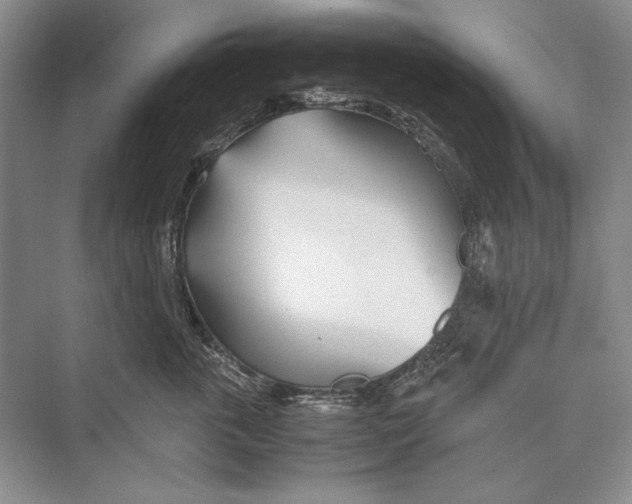 X0000072520763200608111720