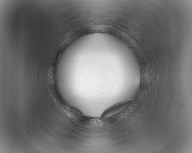 X0000072520764200608111720