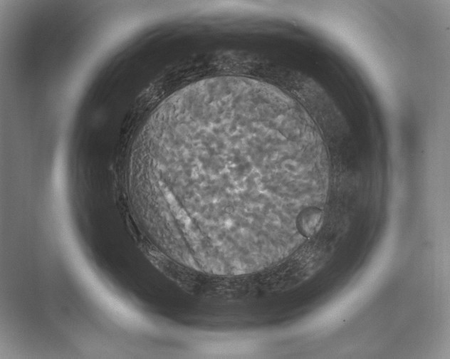 X0000072520765200608111720