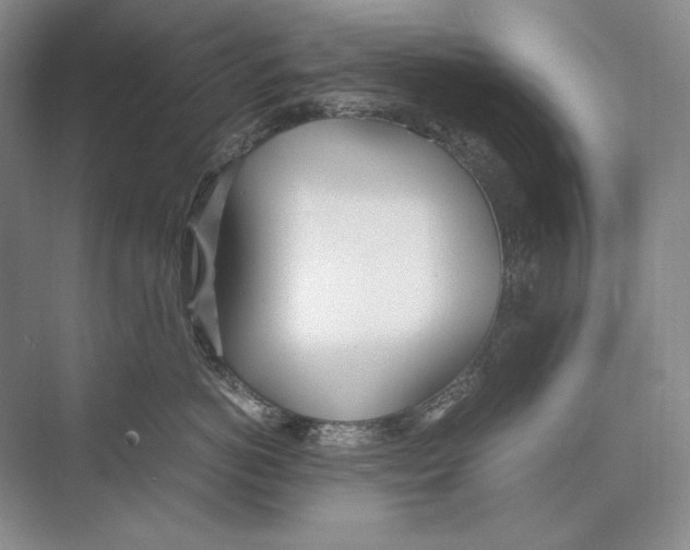 X0000072520766200608111720