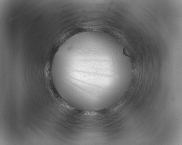 X0000072520767200608111720