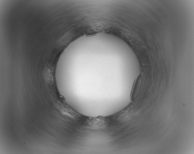 X0000072520768200608111720