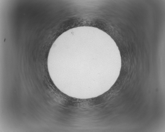 X0000072520769200608111719