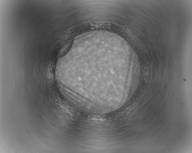 X0000072520770200608111719