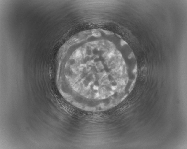 X0000072520772200608111719