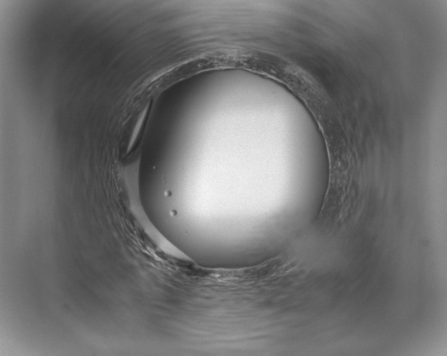 X0000072520773200608111719