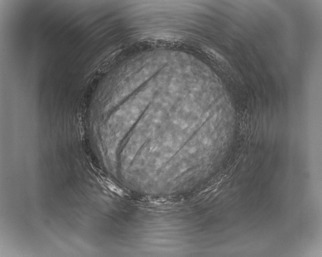 X0000072520774200608111719