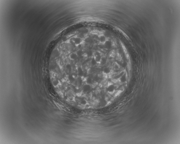 X0000072520775200608111719