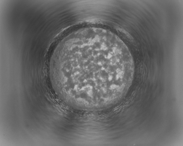 X0000072520776200608111719