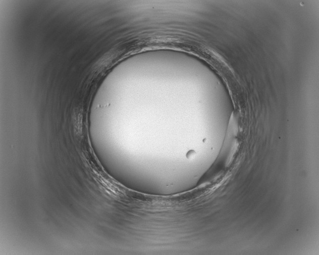 X0000072520777200608111719