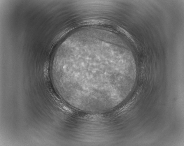 X0000072520778200608111719