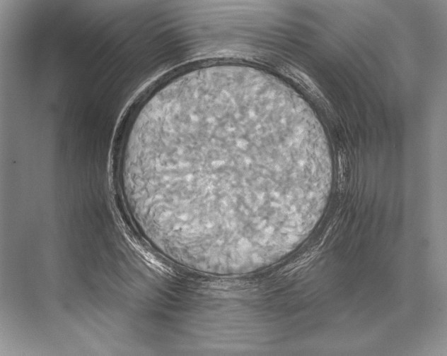 X0000072520780200608111719