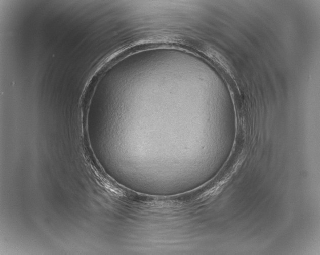 X0000072520781200608111719