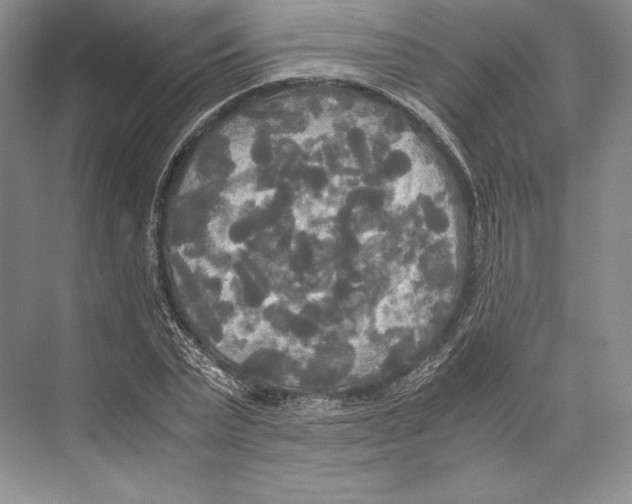 X0000072520783200608111719