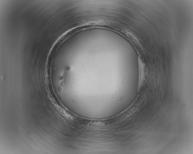 X0000072520784200608111719