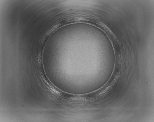 X0000072520785200608111719