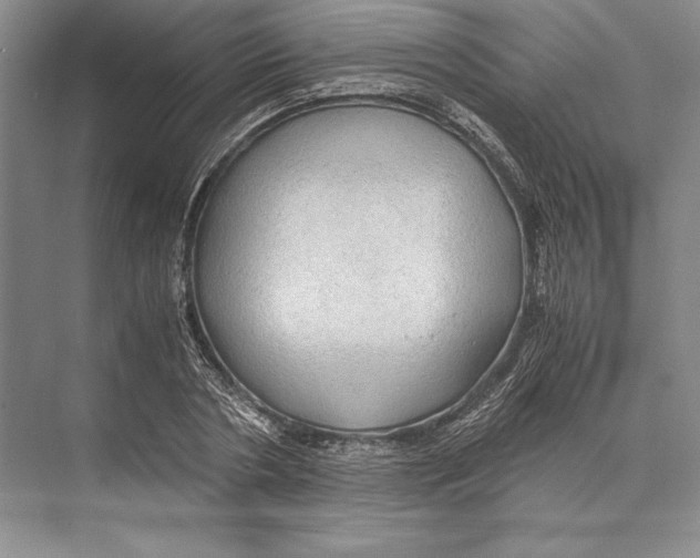 X0000072520786200608111719