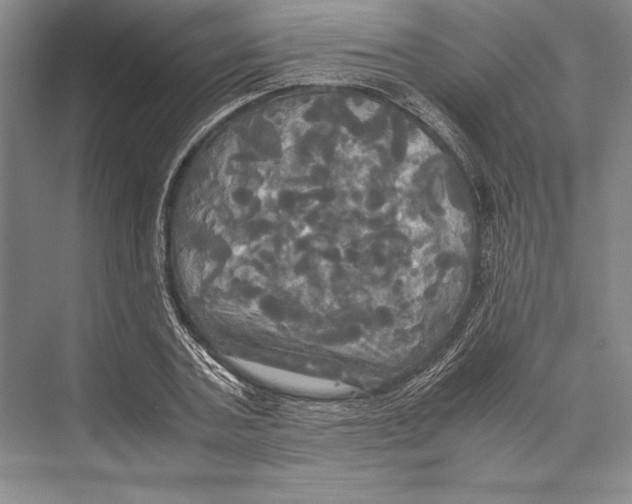 X0000072520787200608111719