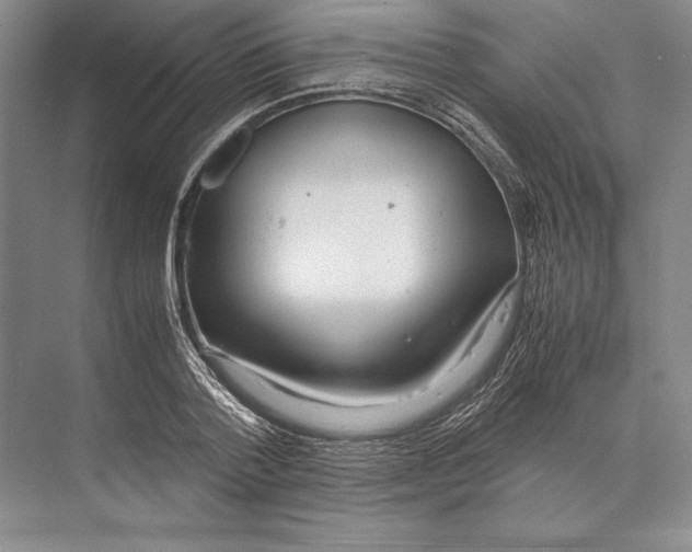 X0000072520788200608111719